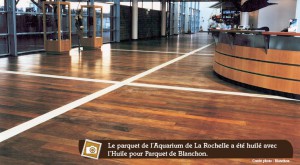 parquet huilé dans un aquarium