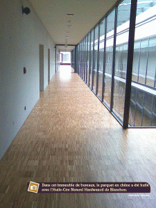 huile-cire sur un parquet d'immeuble de bureaux