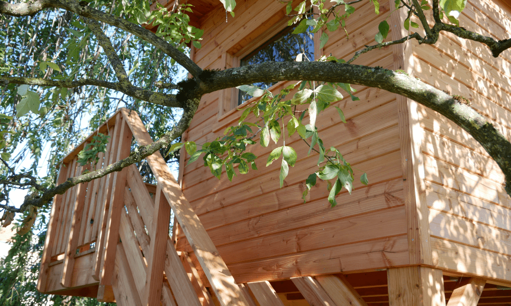 cabane-bois-dans-les-arbres