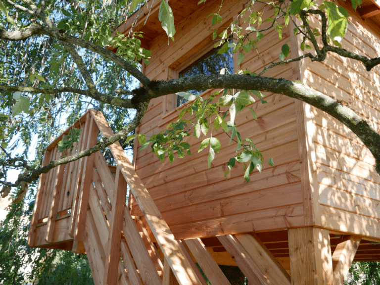 cabane-bois-dans-les-arbres